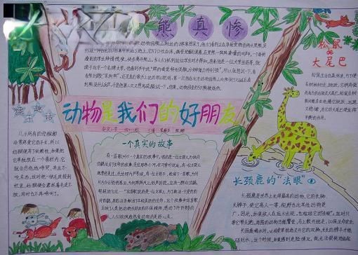 动物是我们的好朋友手抄报图片 动物是我们的好朋友手抄报图片