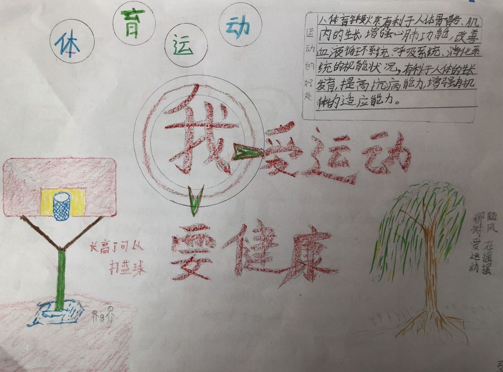我爱运动要健康手抄报 我爱运动要健康手抄报