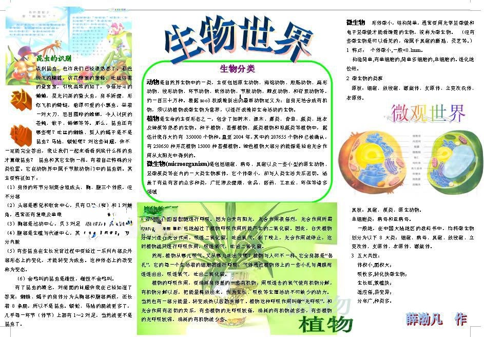 生物电子手抄报下载 生物电子手抄报下载