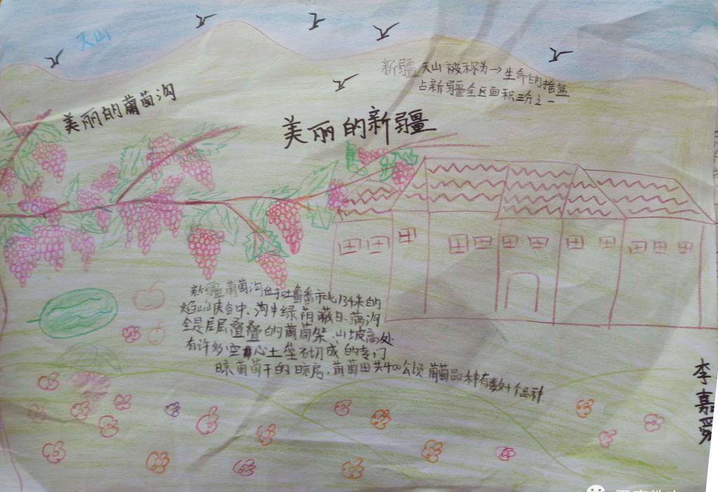 美丽的新疆手抄报图片 美丽的新疆手抄报图片