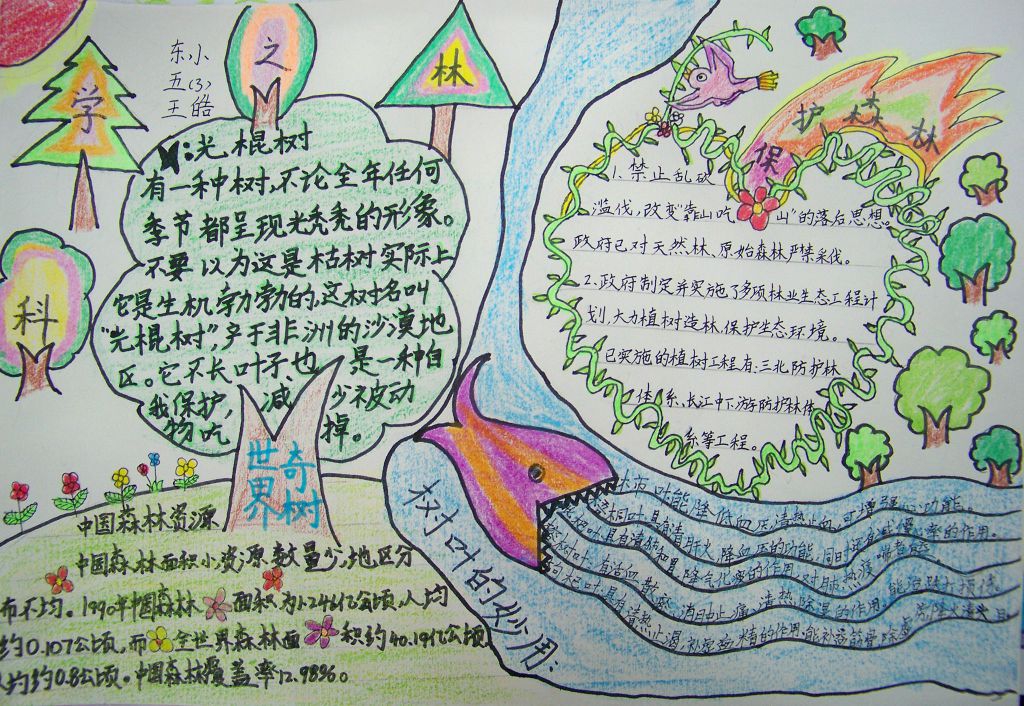 科学手抄报图片简单又漂亮 科学手抄报图片简单又漂亮