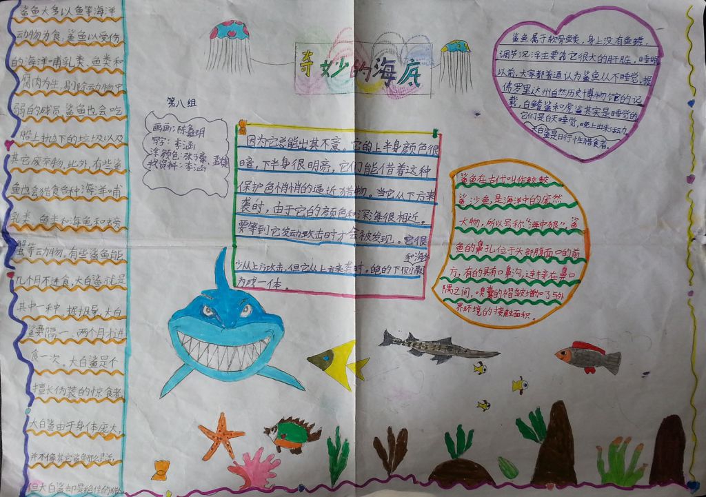 未征服的世界—海底世界手抄报 未征服的世界—海底世界手抄报