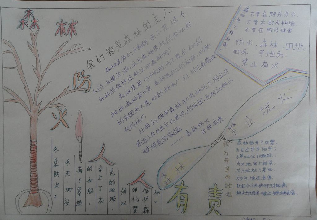 手抄报之保护森林 手抄报之保护森林