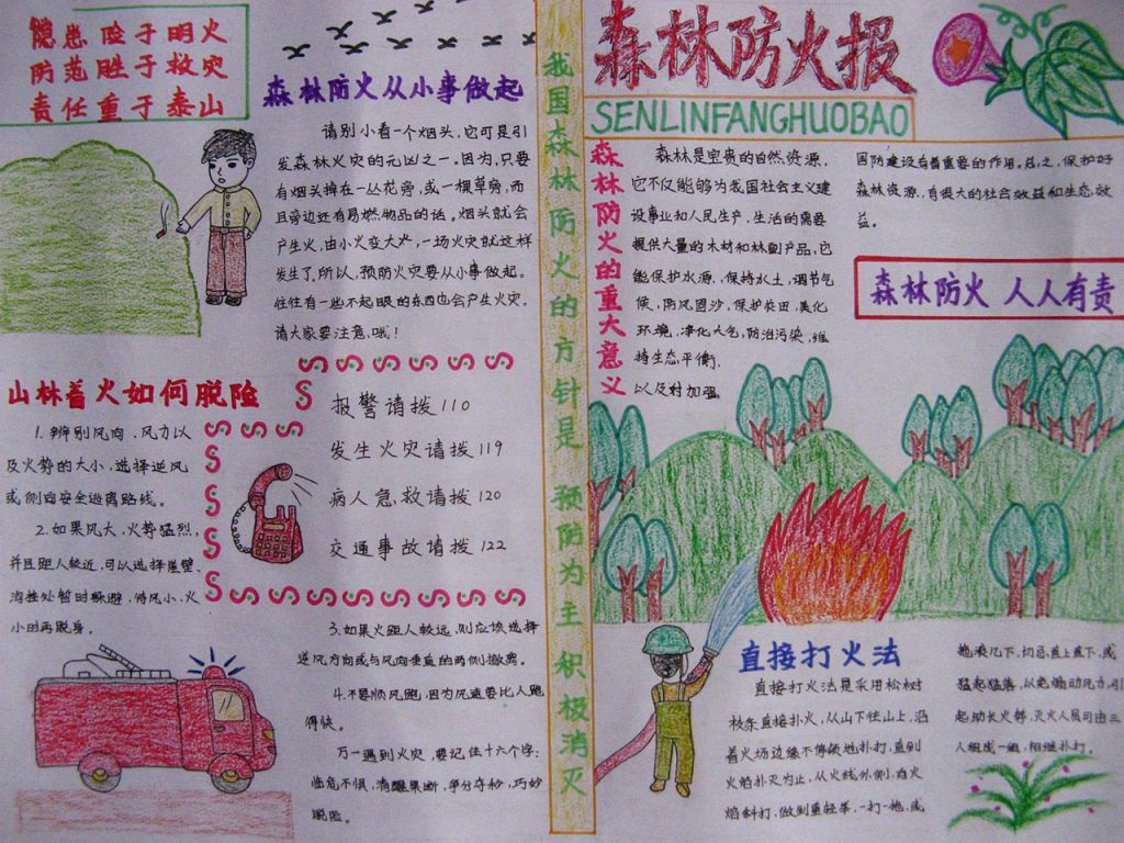 手抄报之保护森林 手抄报之保护森林